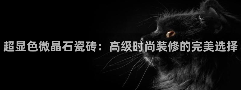 万事达娱乐b 判官：超显色微晶石瓷砖：高级时尚装修的完美选择