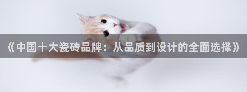 万事娱乐总代