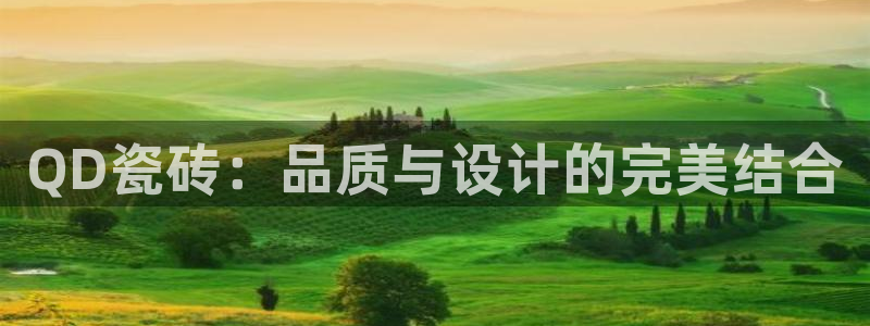 万事娱乐平台代理：QD瓷砖：品质与设计的完美结合