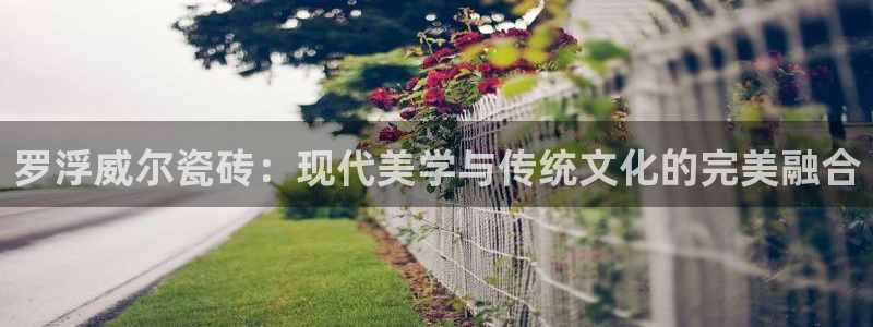 万事娱乐代理