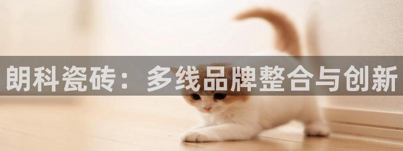 万事娱乐代理怎么样