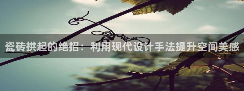 万事达娱乐b 判官