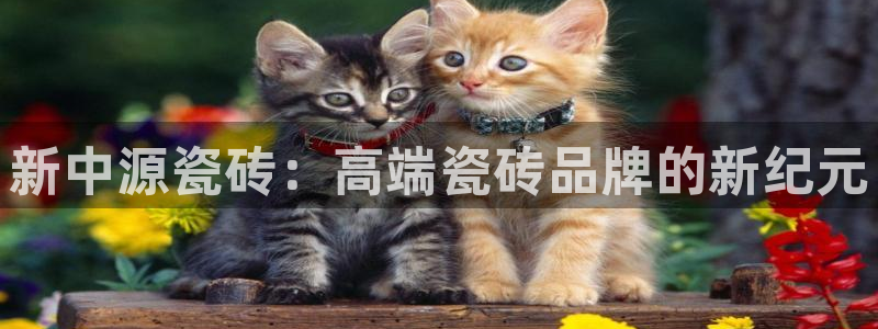 万事娱乐首页入口网站