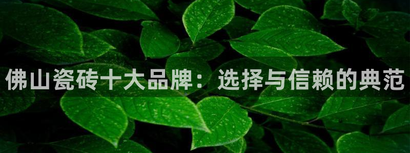娱乐万事屋
