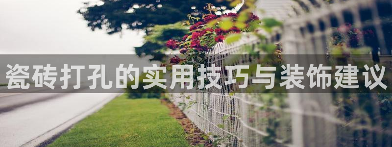 万事达娱乐高善良